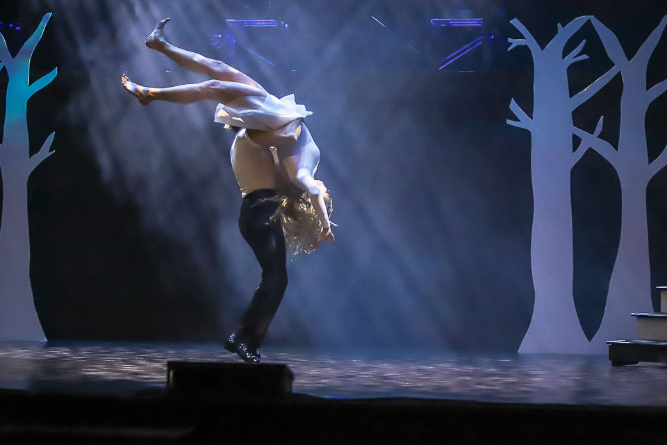 Dancing with the Burke Stars 2020--109.jpg